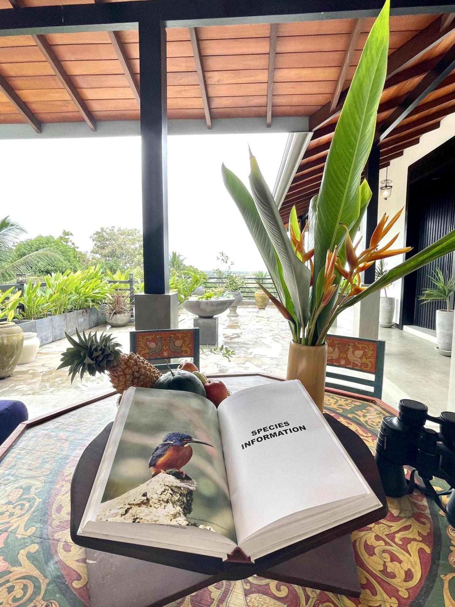 D' Art Villa Retreat And Spa 탕갈레 외부 사진